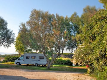 Spacious pitches shaded by trees