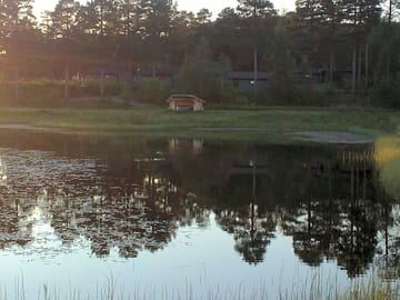 Peaceful lakeside setting