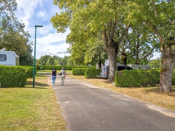 Avenue through the site