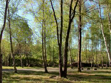 Pitches shaded by trees
