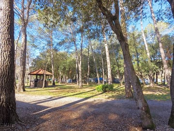 The site