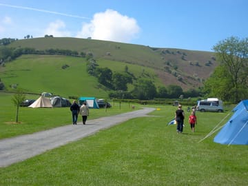 Open field