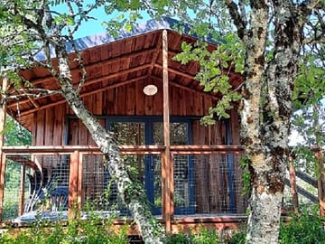 Cape town treehouse