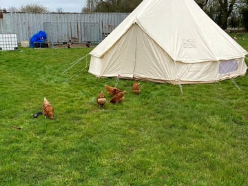 Bell tent