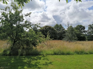 View from orchard pitch