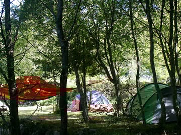 Pitch up in full sun, part-shade or full shade