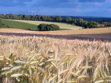 View from the site