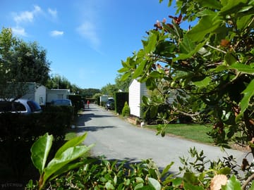 Around the site