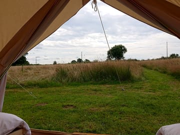 View of the field from inside the tent