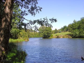 River flowing near the site