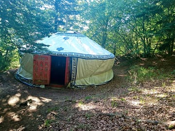 Mongolian yurt