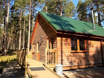 Pine marten lodge