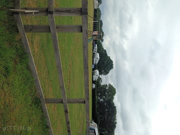Grass pitch