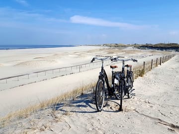 Beach alongside the site