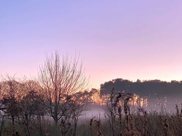 Dusk at the site