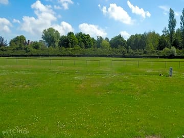 Grass pitch