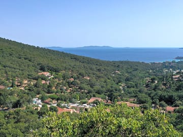 Campsite views
