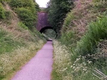 Great walking nearby