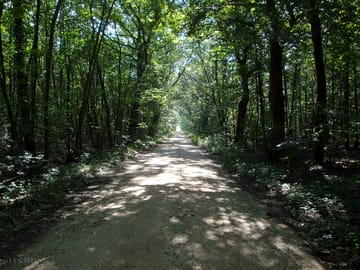 Access road