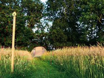 Hiding in the long grass in barn owl field