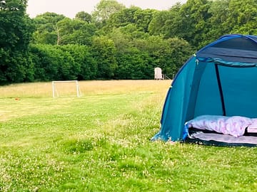 Grass pitches surrounded by trees