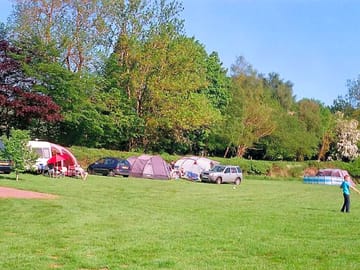 Around the site
