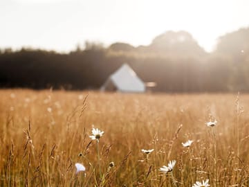 Hazy summer evenings