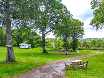 Pitches and picnic tables among the trees
