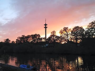 Evening light at the site