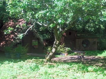 The orchard
