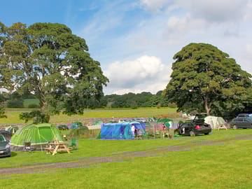 Plenty of space to spread out