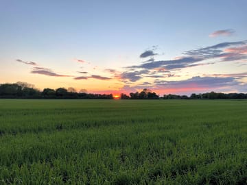 Local walk through fields