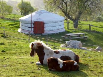 Outside the yurt