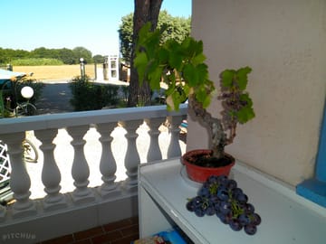 View from reception