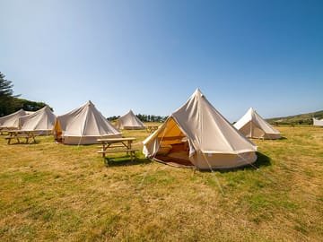 Family tents