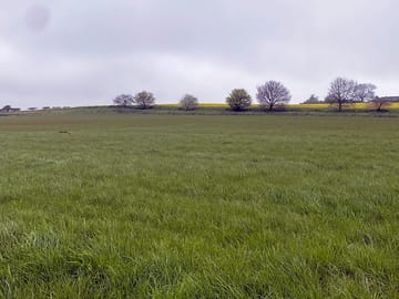 Lovely rural views
