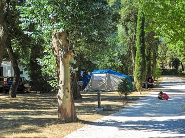 Spacious, partial shade pitches