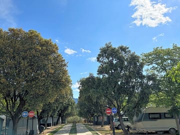The main road through the site