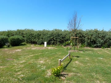 Sunny pitch
