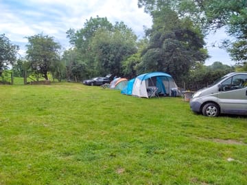 Pitch area