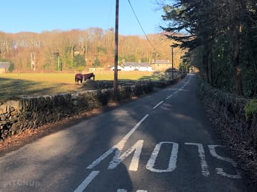 Local area