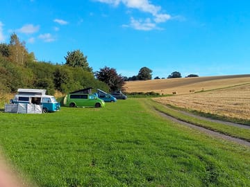 A clutch of vws enjoying the post-harvest view
