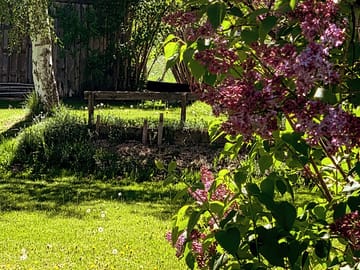 A natural decor of flowers and shrubs