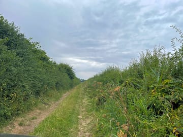 Lane leading to the parking field
