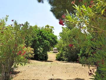 Pitches surrounded by plants