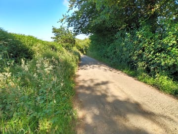 Quiet devon lanes