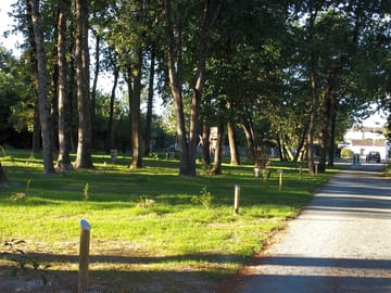 Shaded pitched with electricity