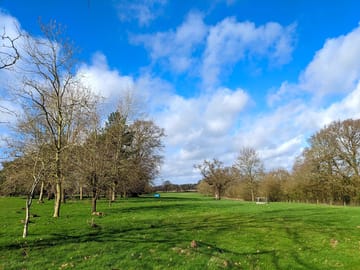 The grounds