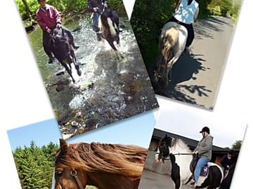 Pony trekking only 1/5 mile away