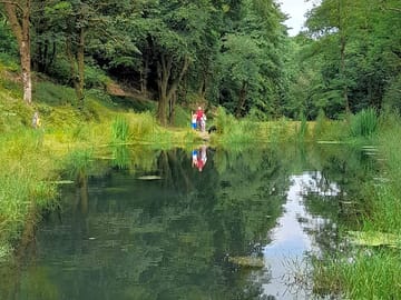 The wildlife ponds